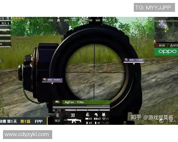 和平精英焦点RNG战队心理素质分析与提升策略探讨