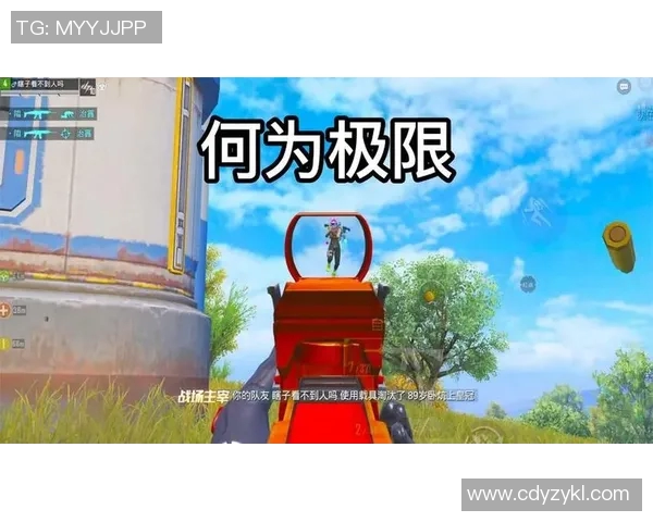 和平精英战术解析：BLG团队转换策略的深度剖析与应用