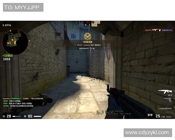 电竞新闻深入剖析JDG在CSGO比赛中的技术策略与战术运用