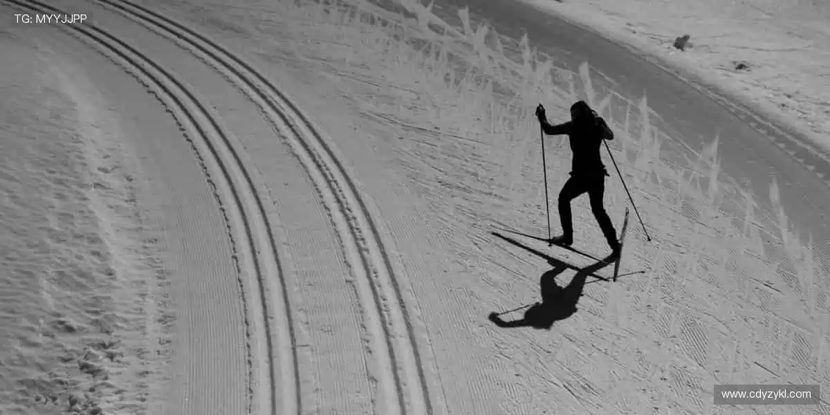 🎯精准定制，专属你的运动装备库！🔧